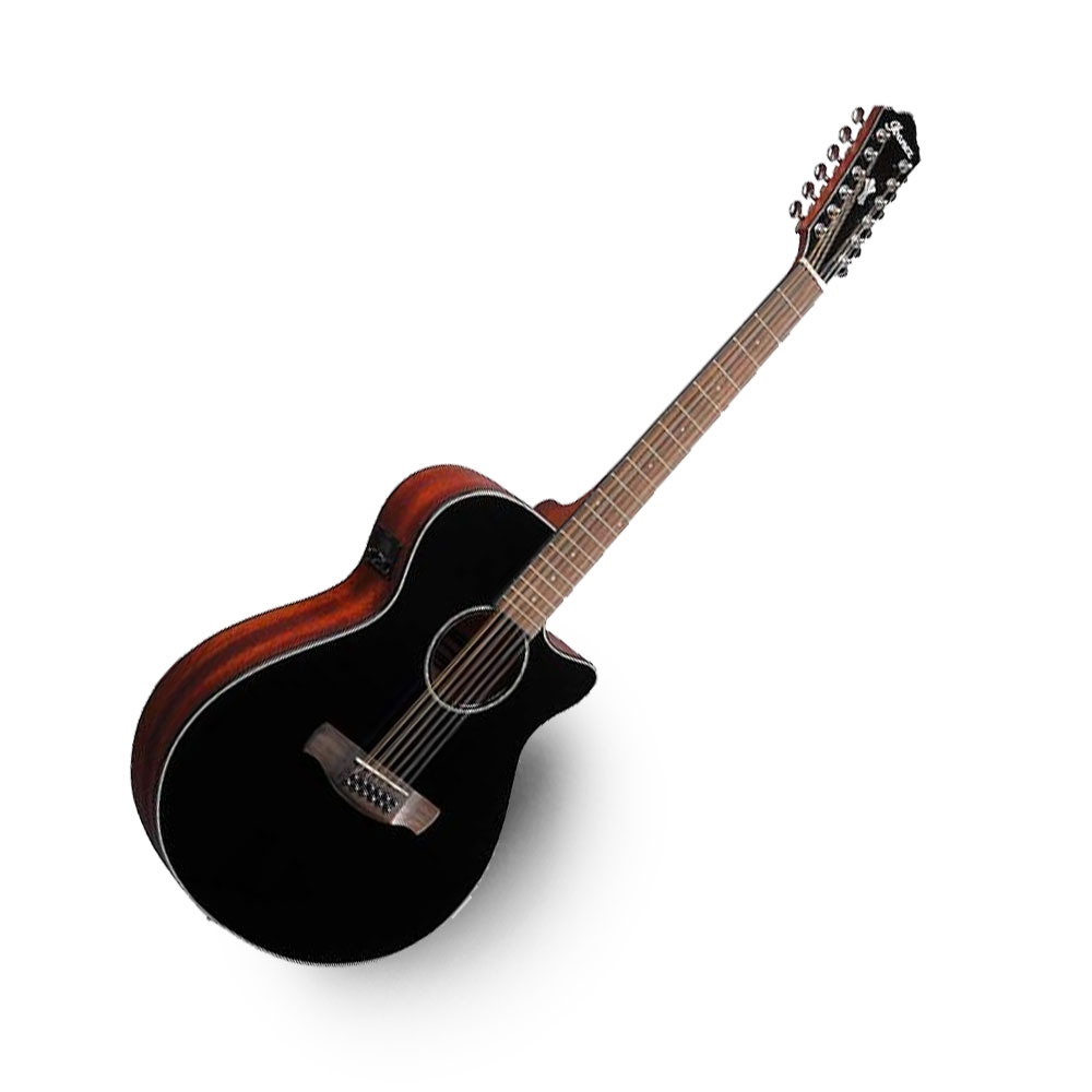 12-String Acoustic Guitars