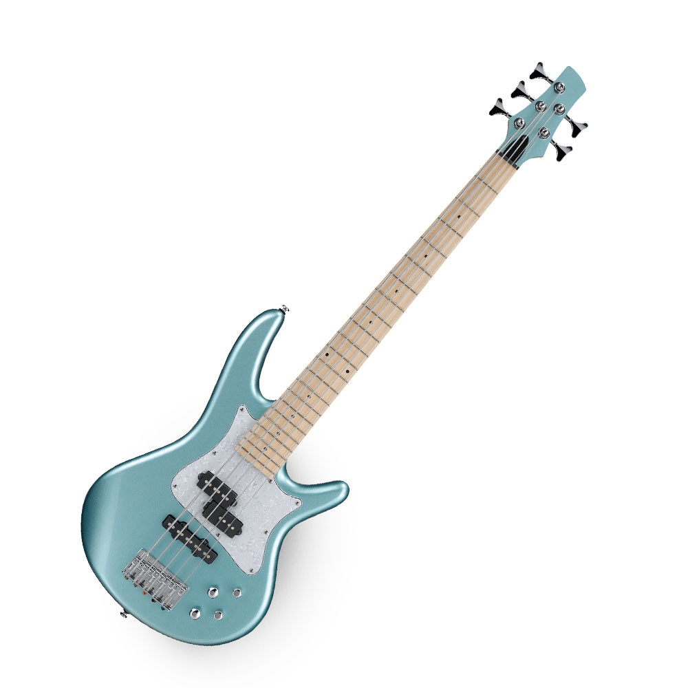 Other 5-String Basses