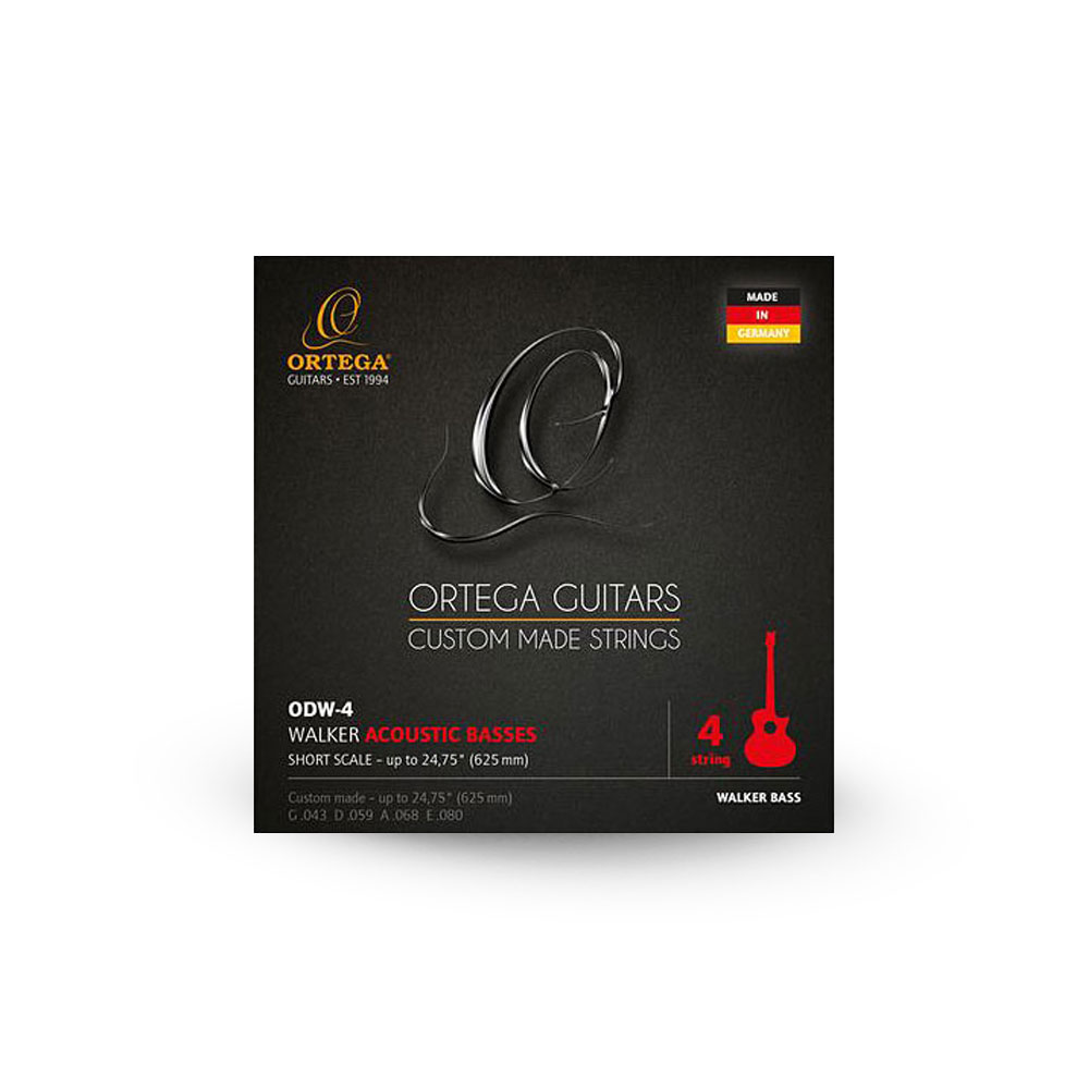 Acoustic Bass Guitar Strings