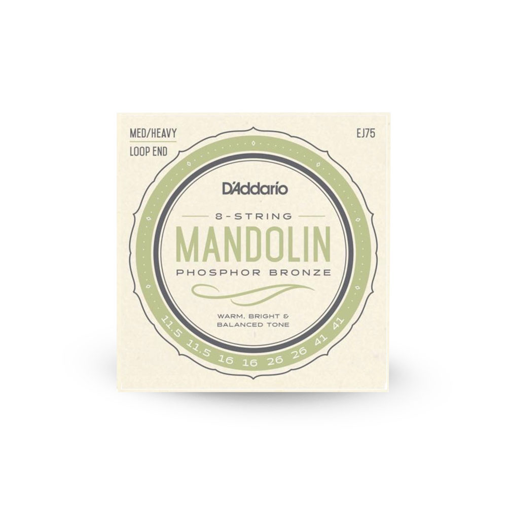 Mandolin Strings
